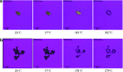<b>FIG. 4.</b>