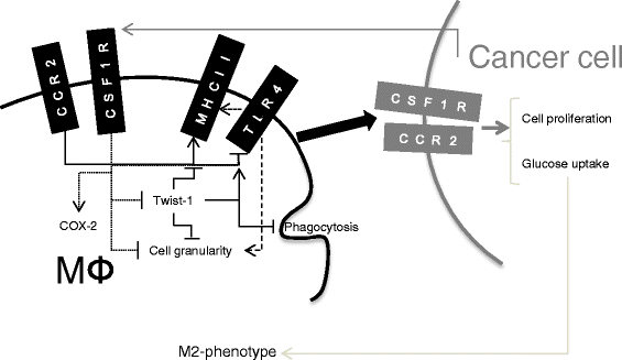 Fig. 8