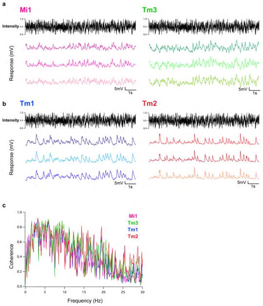 Extended Data Figure 4