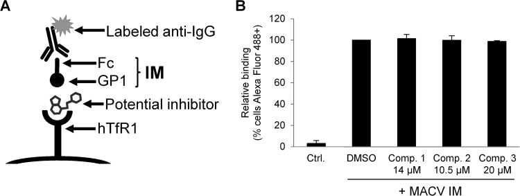 FIG 7