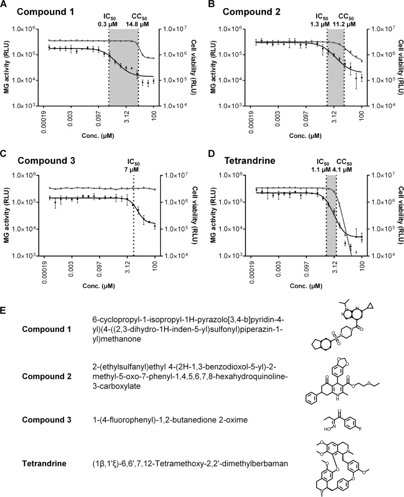 FIG 2