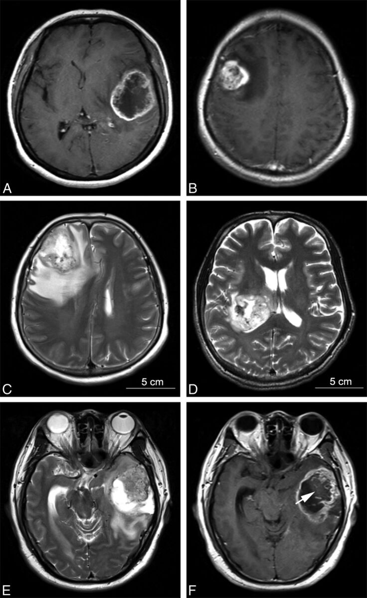 Fig 1.