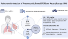 Graphical abstract