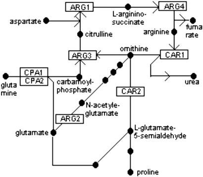 Fig 4.