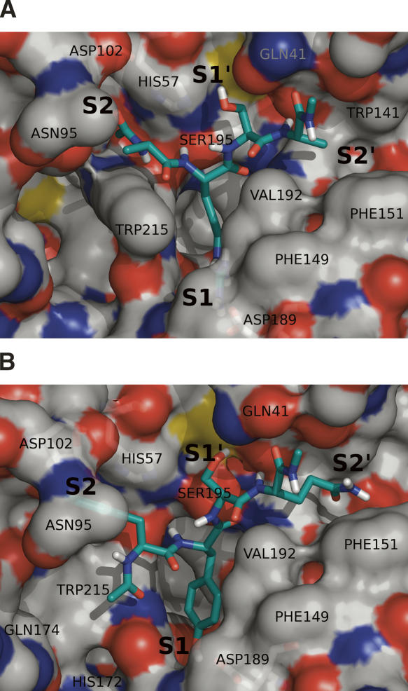 Figure 5.