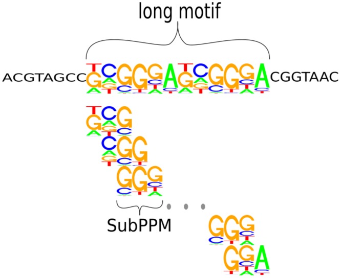 Fig 5