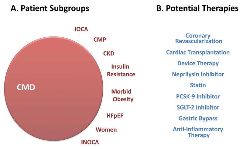 Figure 6: