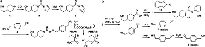 Scheme 2