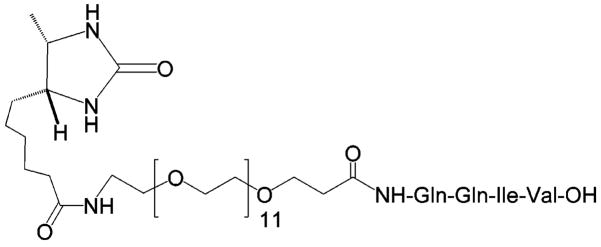 Scheme 3