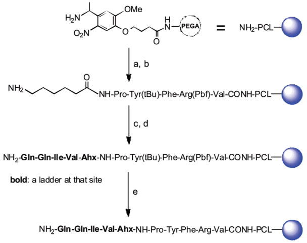 Scheme 1