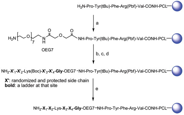 Scheme 2