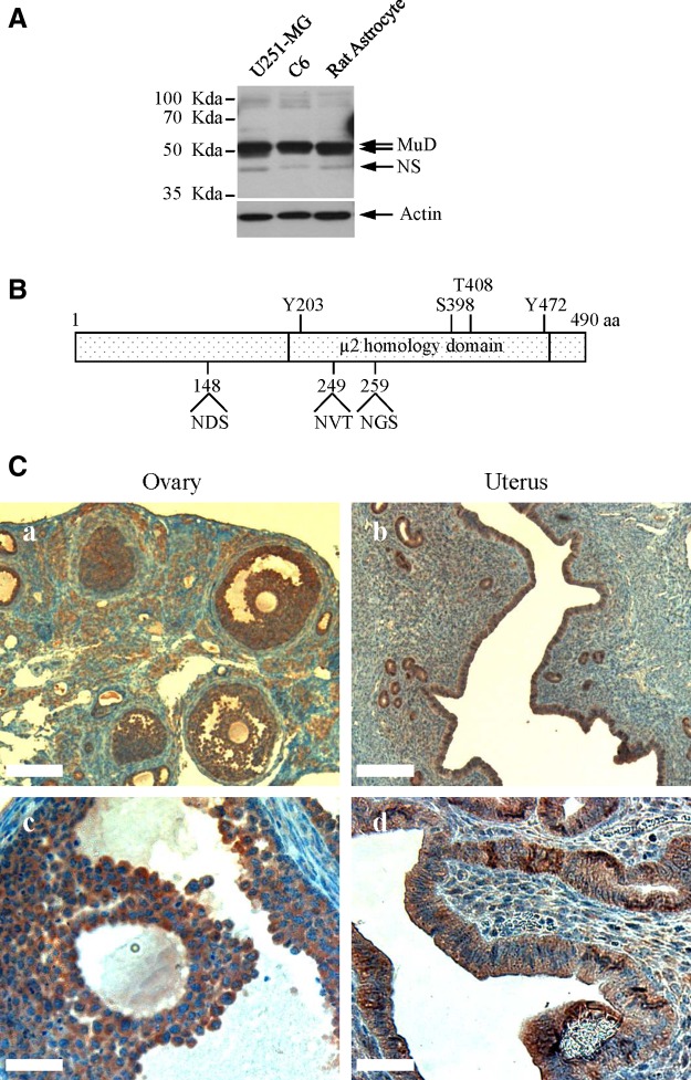 FIG. 4.