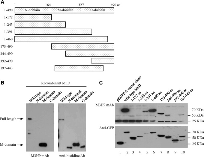 FIG. 3.