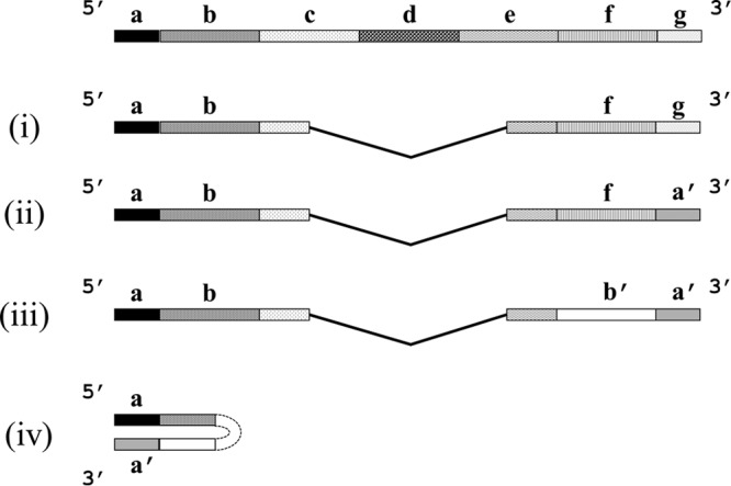 FIG 1