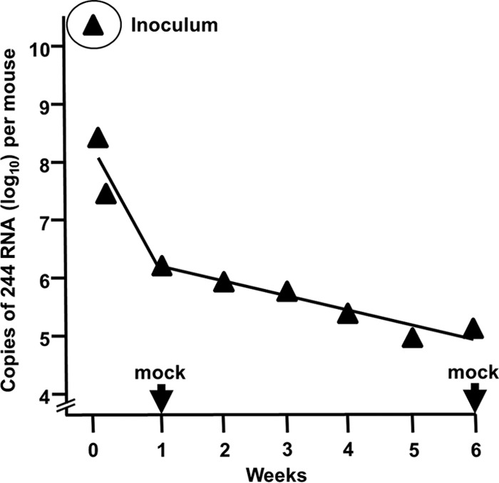 FIG 4