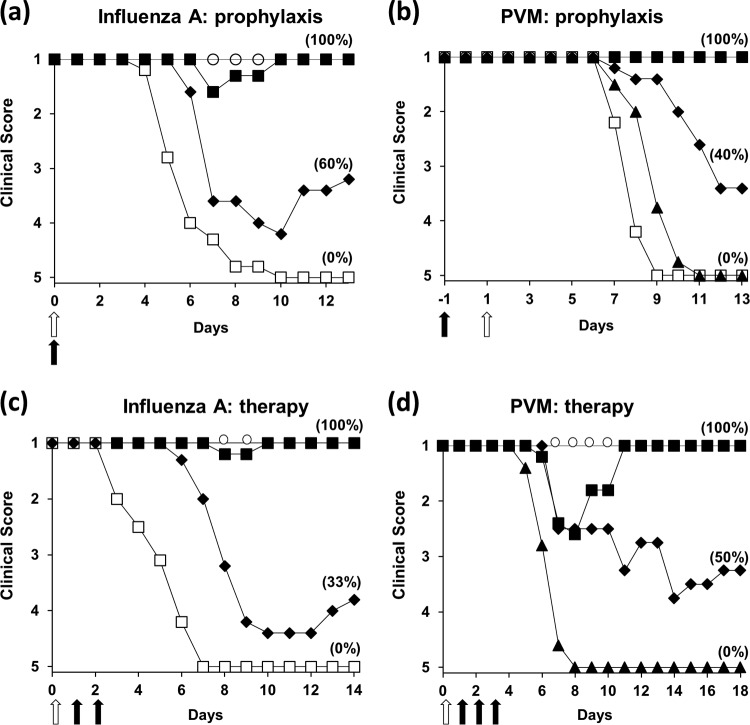 FIG 3