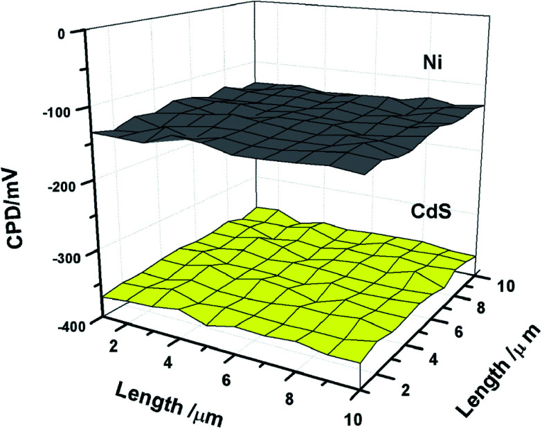 Fig. 7