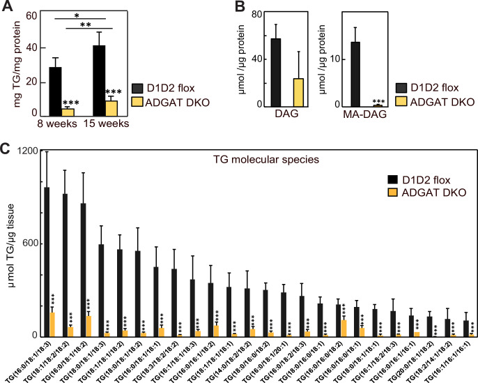 Figure 1—figure supplement 3.