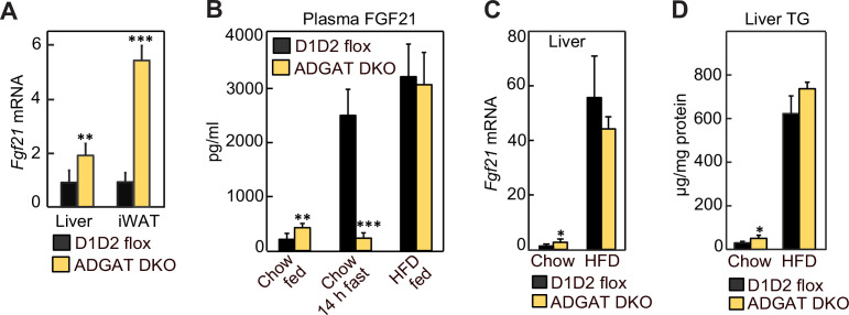 Figure 5—figure supplement 3.