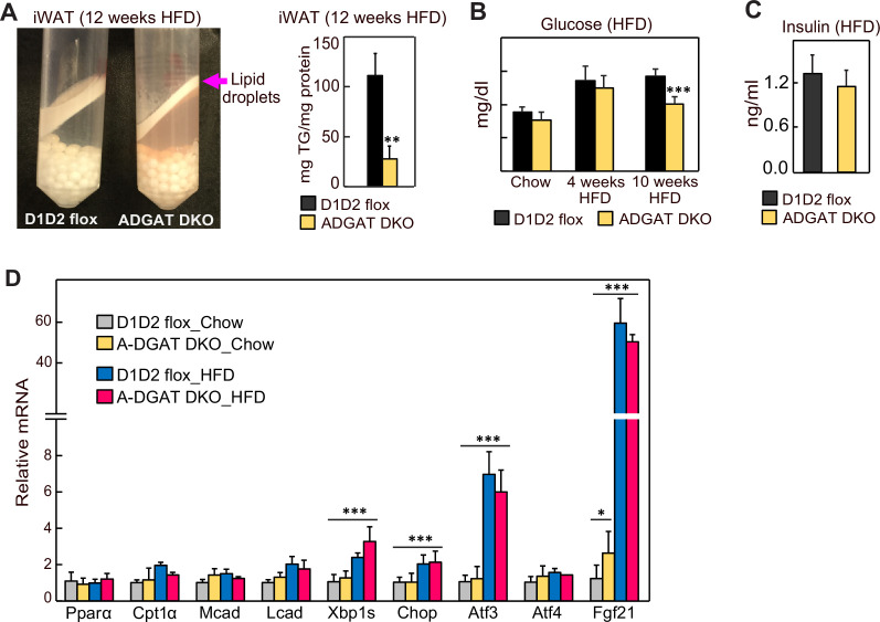 Figure 4—figure supplement 1.