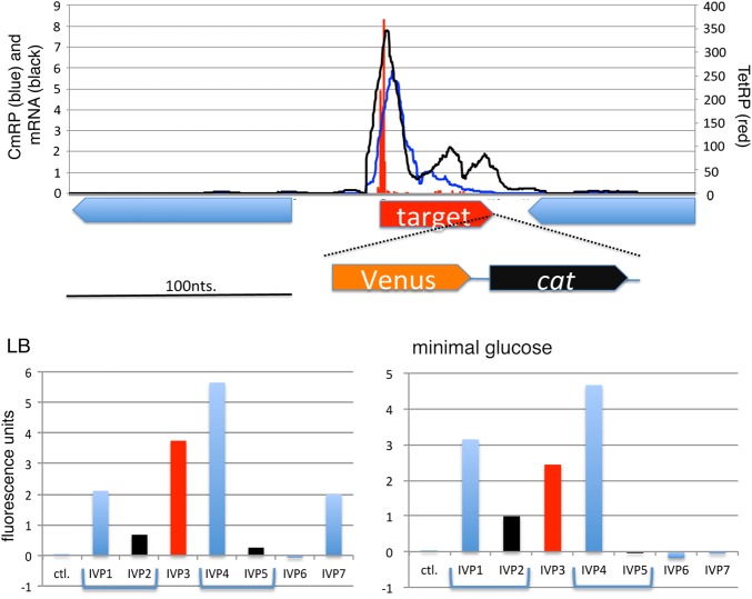 Figure 5.