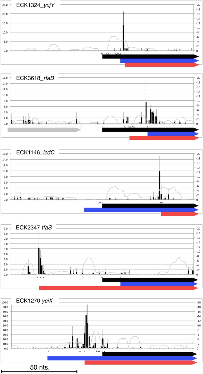 Figure 3.