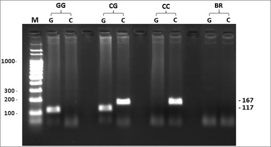 Figure 1 -