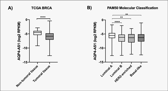 Figure 2 -