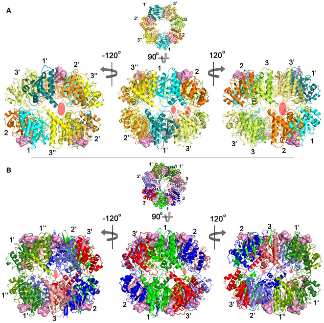 Figure EV3