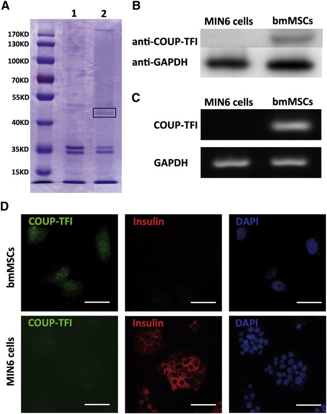 Figure 2