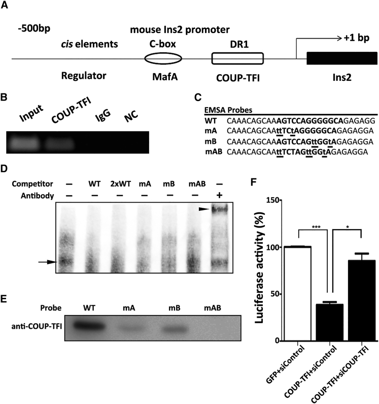 Figure 7