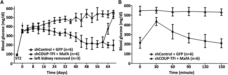 Figure 6