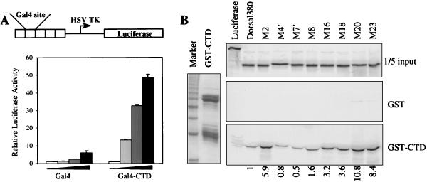 FIG. 5.