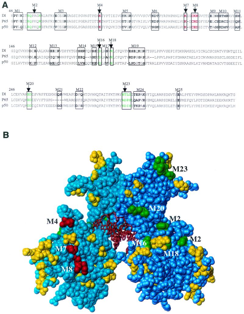 FIG. 1.