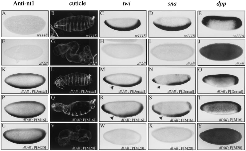 FIG. 7.