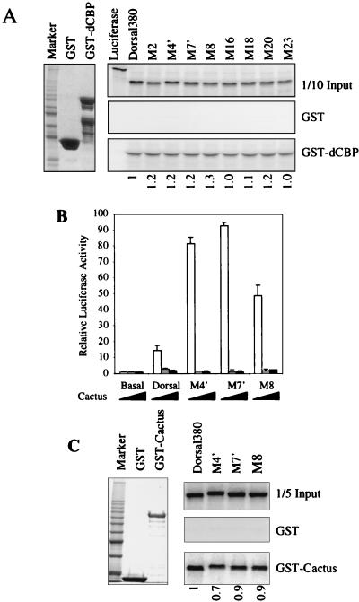 FIG. 4.