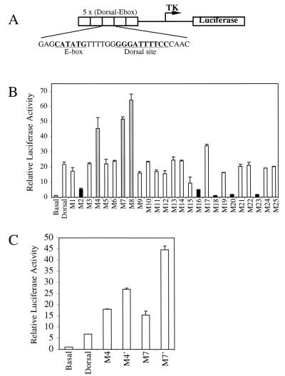 FIG. 2.