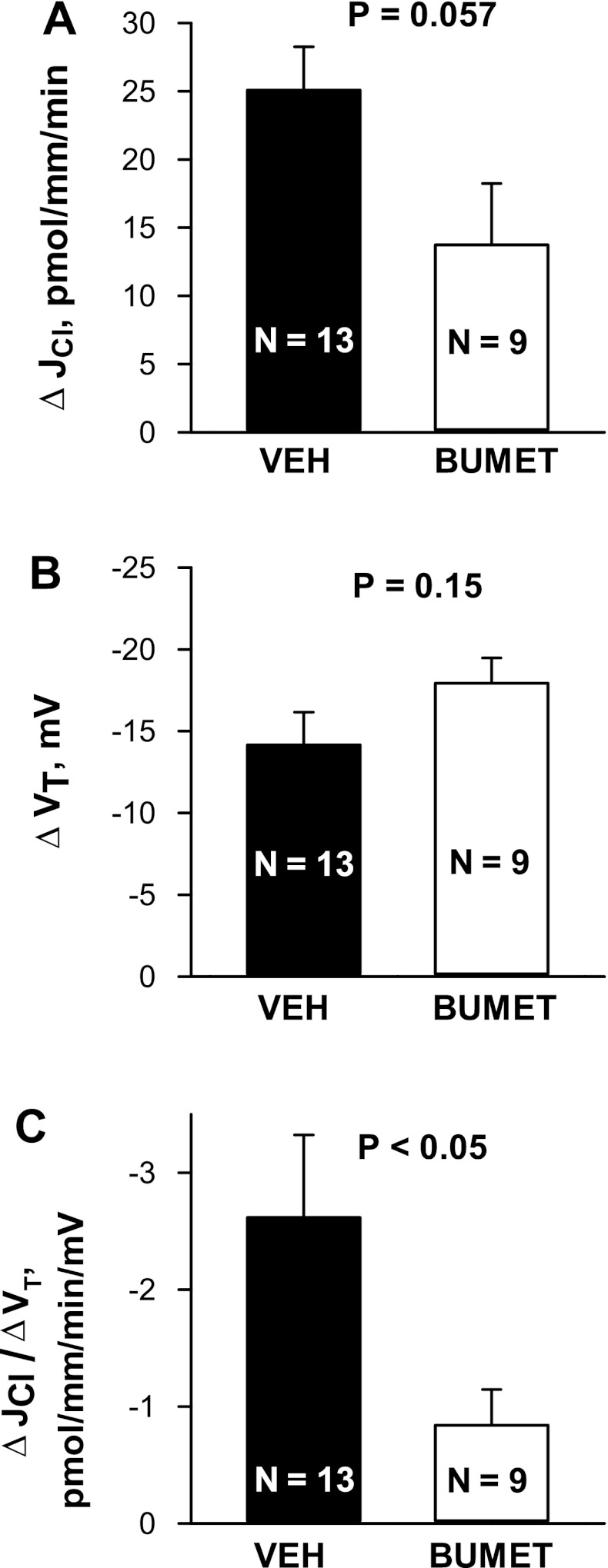 Fig. 12.