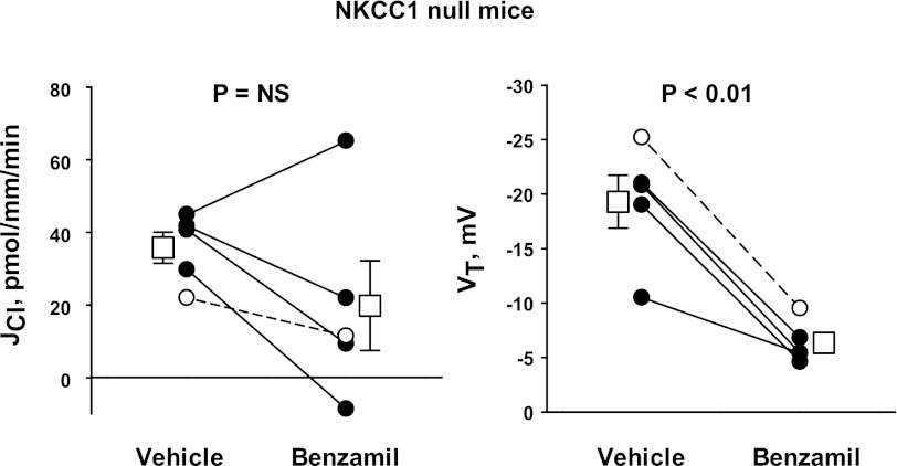 Fig. 13.