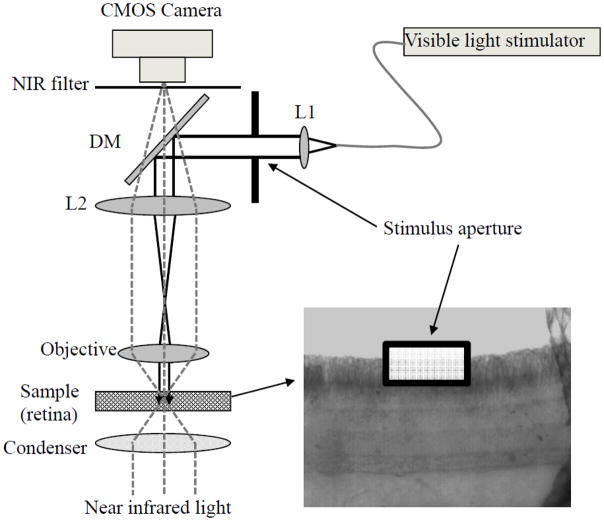 Fig. 1