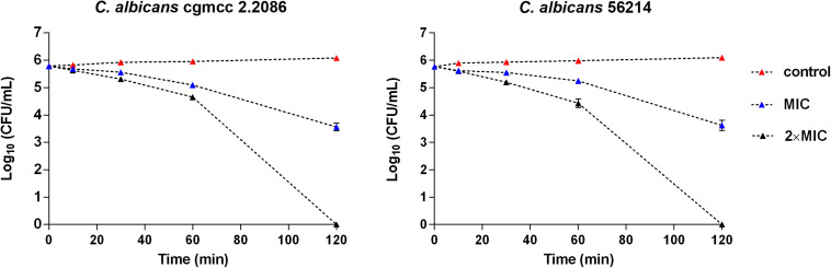 FIGURE 4