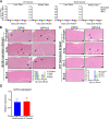 Supplementary Fig. S1