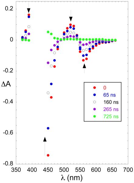 Figure 7