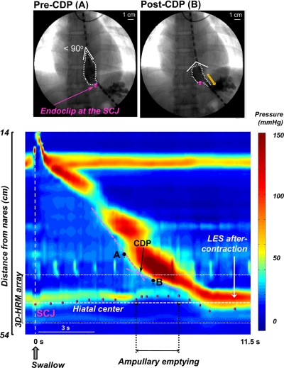 Fig. 2.