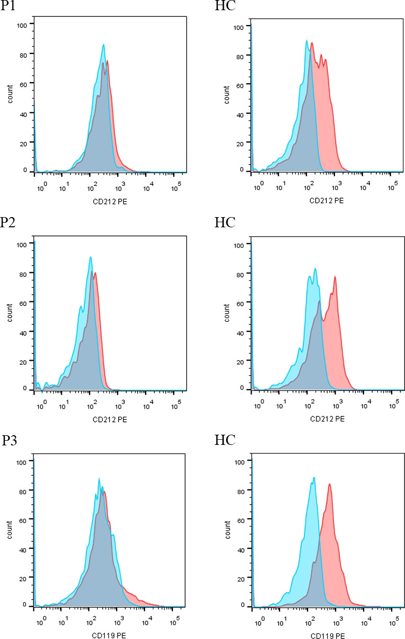 Figure 2