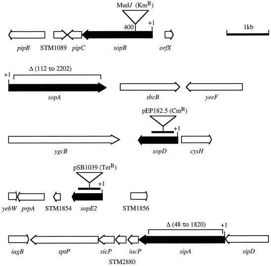 FIG. 1.