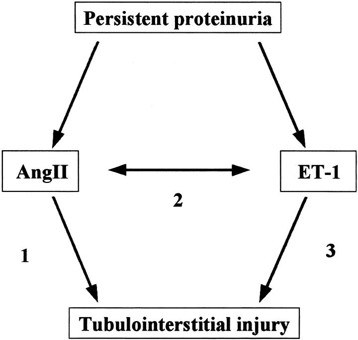 Figure 9.