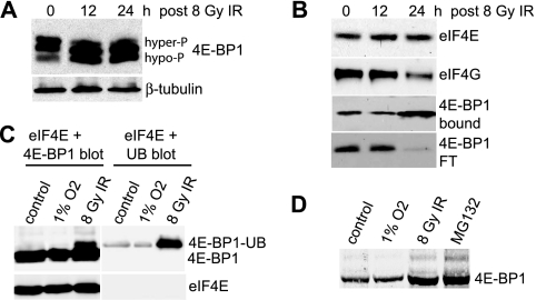 FIG. 5.