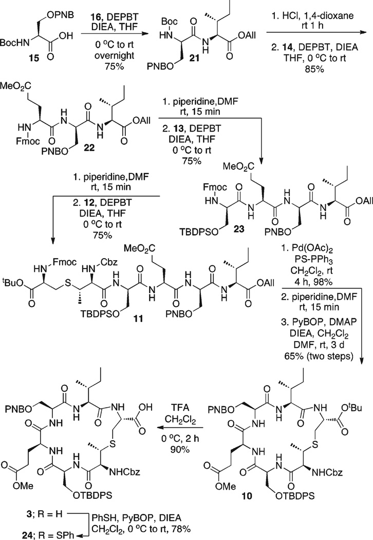 Scheme 5