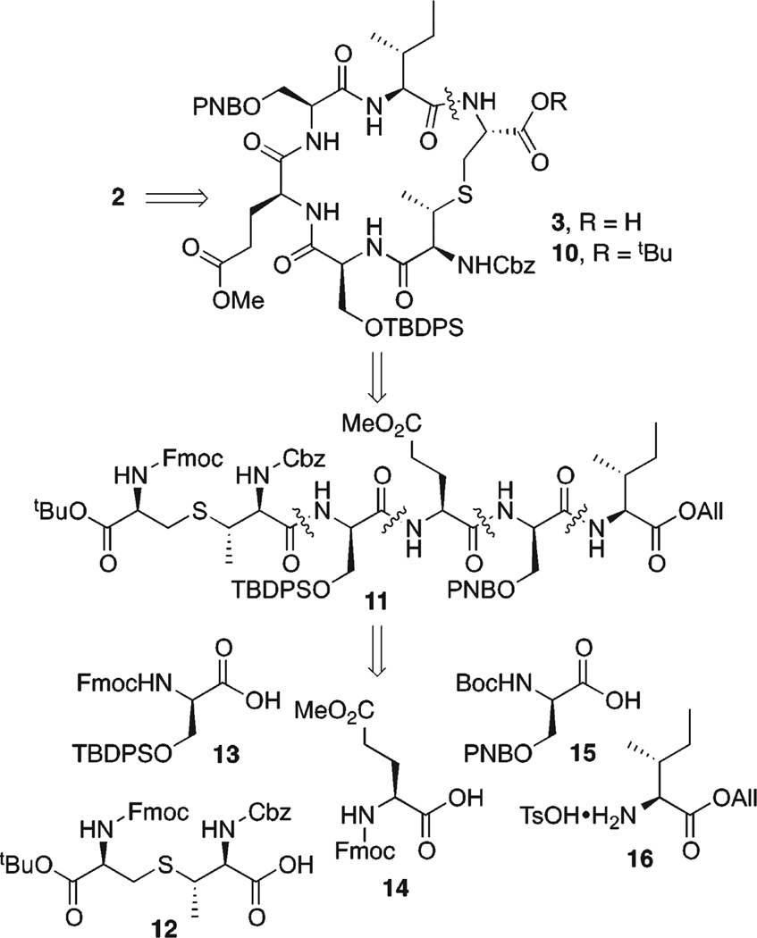 Scheme 3